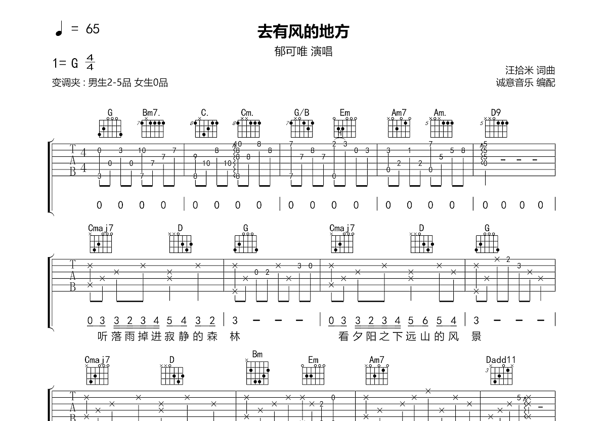 去有风的地方吉他谱预览图