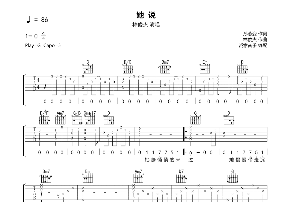她说吉他谱预览图