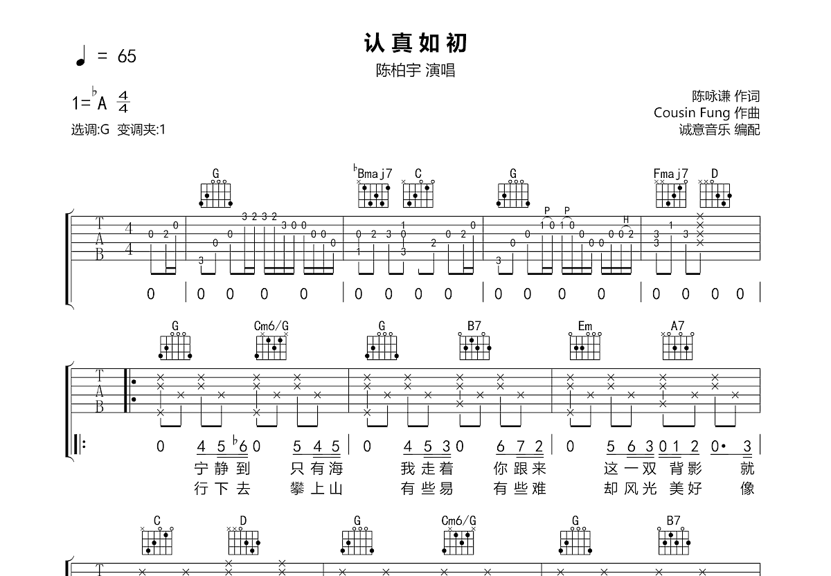 认真如初吉他谱预览图