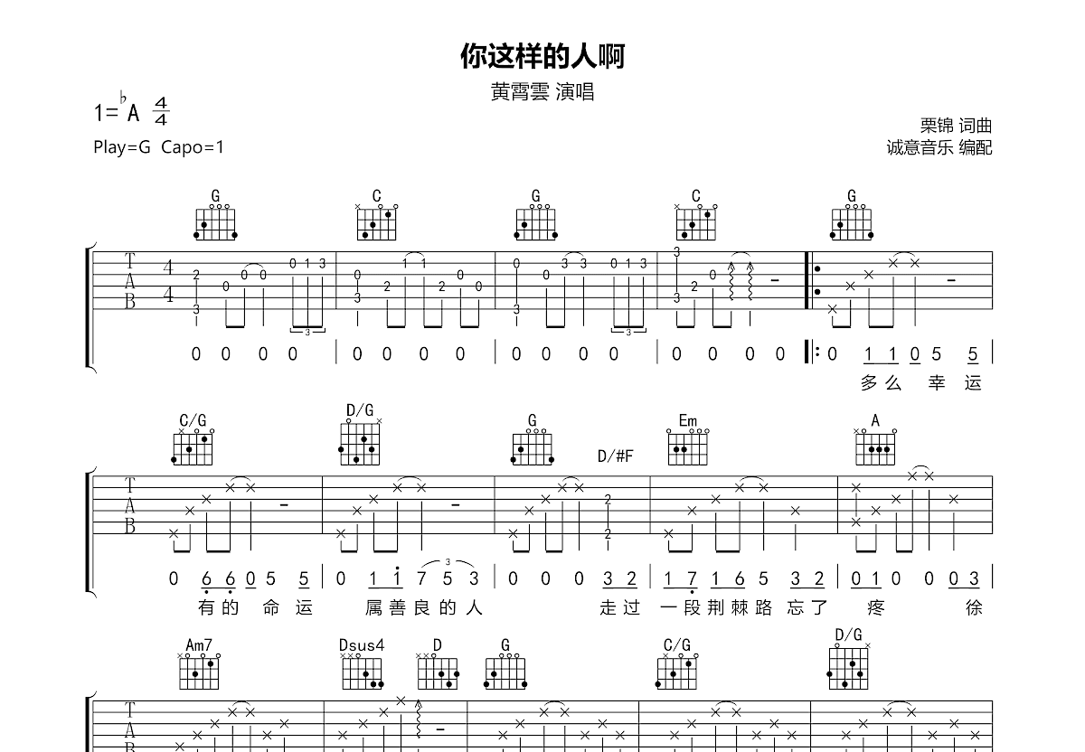 你这样的人啊吉他谱预览图