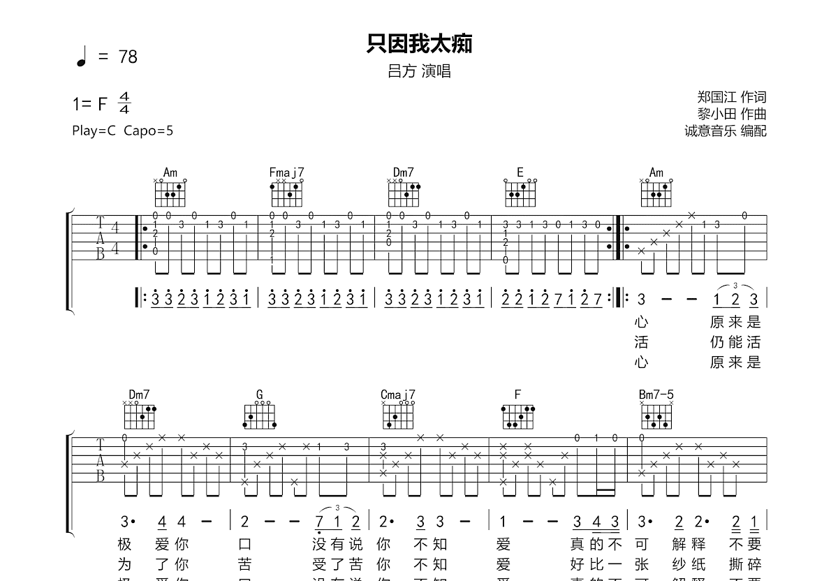 只因我太痴吉他谱预览图