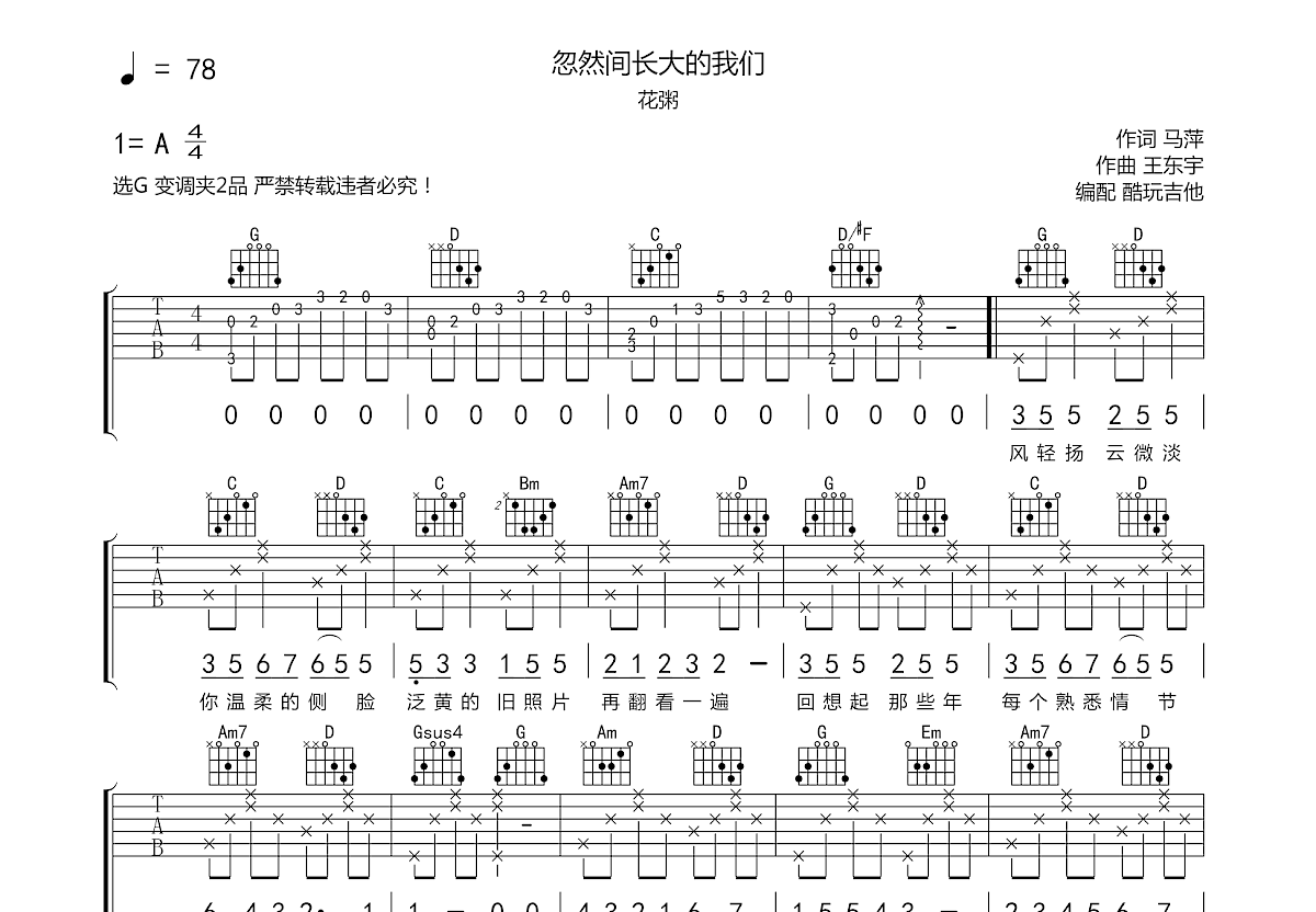 忽然间长大的我们吉他谱预览图