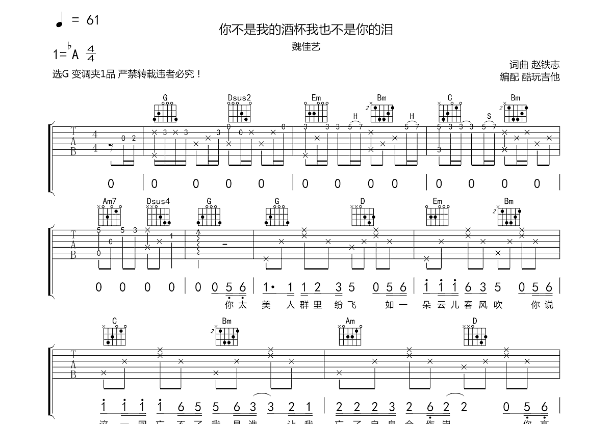 你不是我的酒杯我也不是你的泪吉他谱预览图