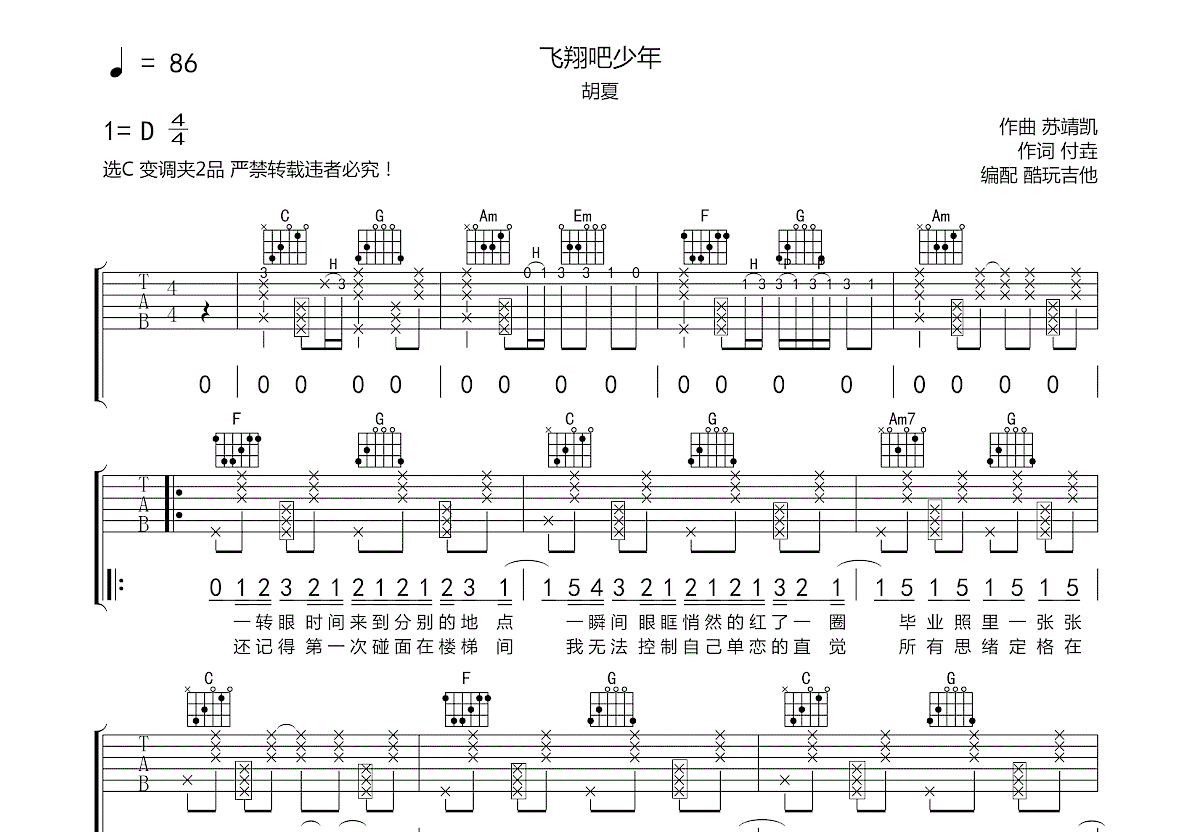 飞翔吧少年吉他谱预览图