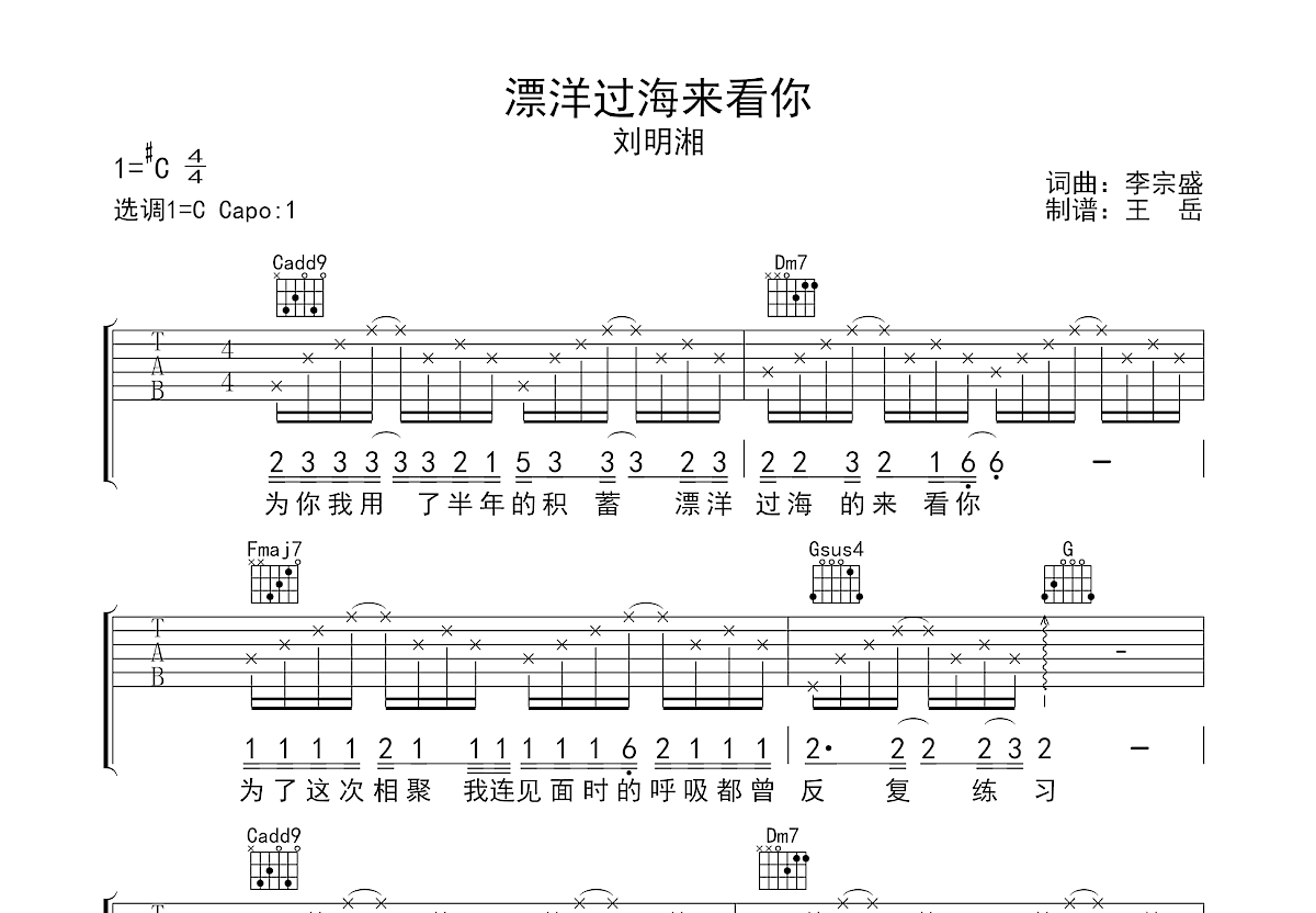 漂洋过海来看你吉他谱预览图