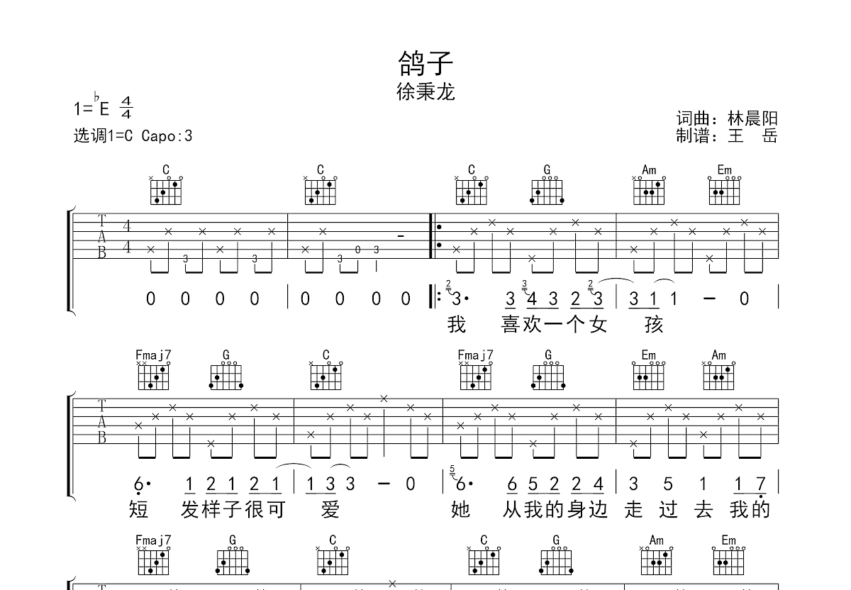 鸽子吉他谱预览图