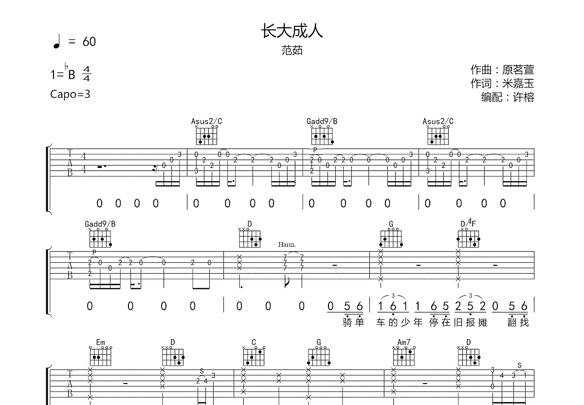 长大成人吉他谱预览图