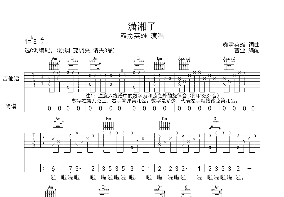 潇湘子吉他谱预览图