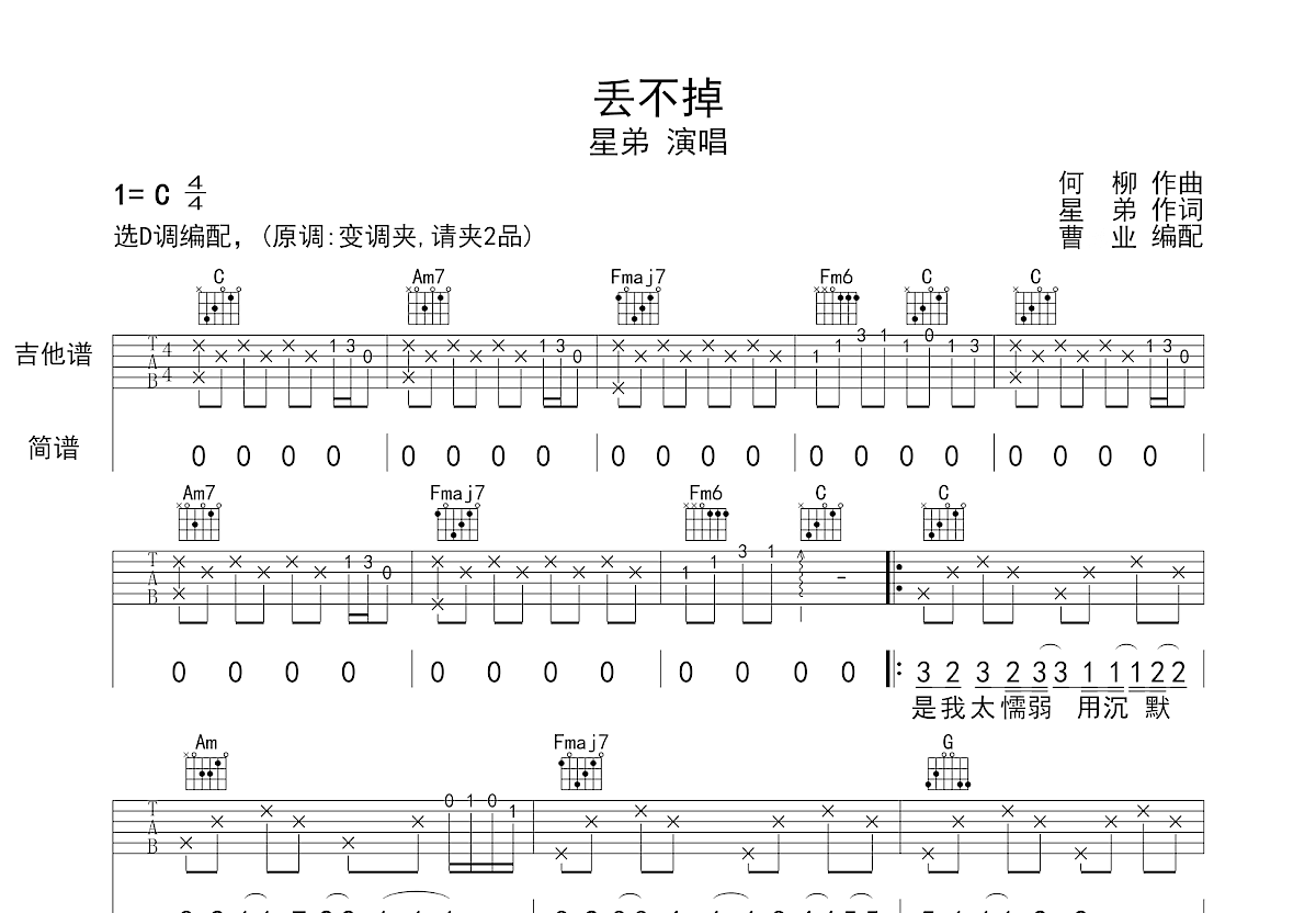 丢不掉吉他谱预览图