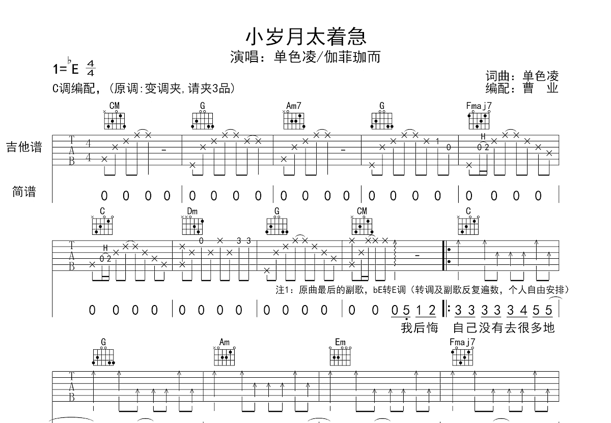 小岁月太着急吉他谱预览图