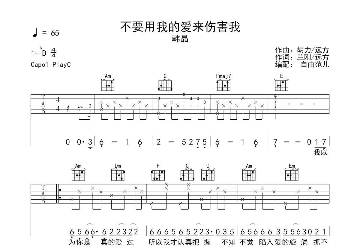 不要用我的爱来伤害我吉他谱预览图