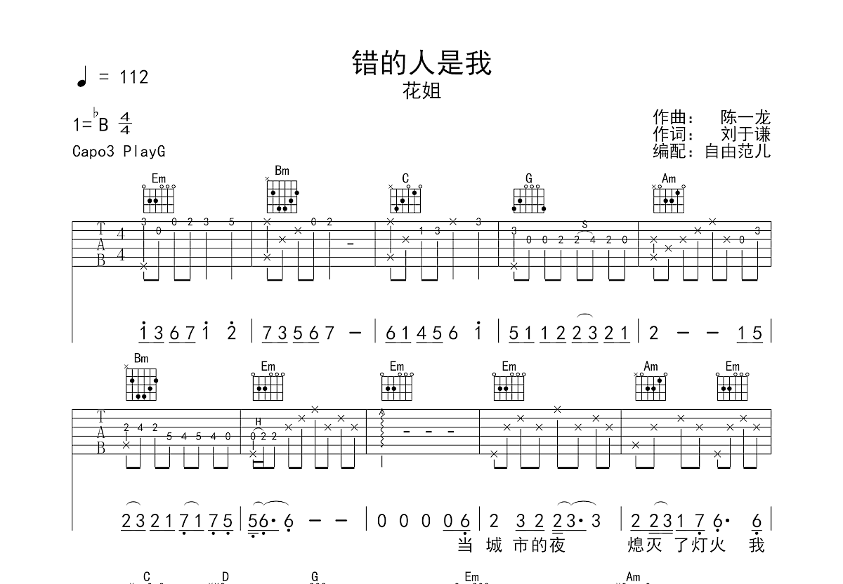 错的人是我吉他谱预览图