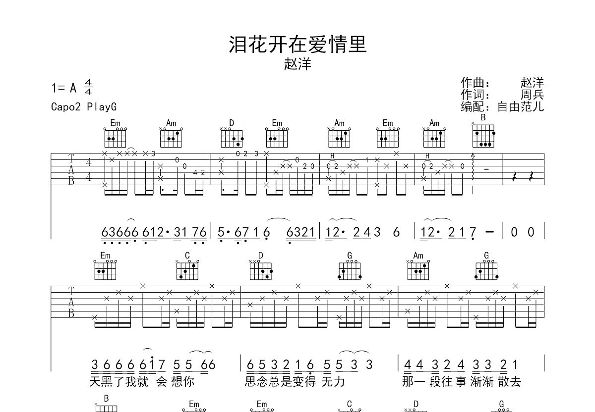 泪花开在爱情里吉他谱预览图