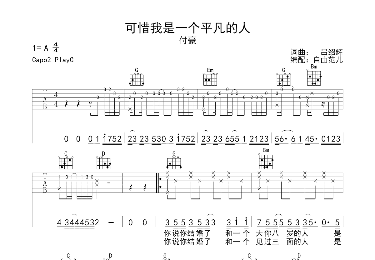 可惜我是一个平凡的人吉他谱预览图