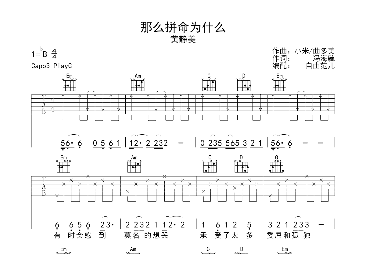 那么拼命为什么吉他谱预览图