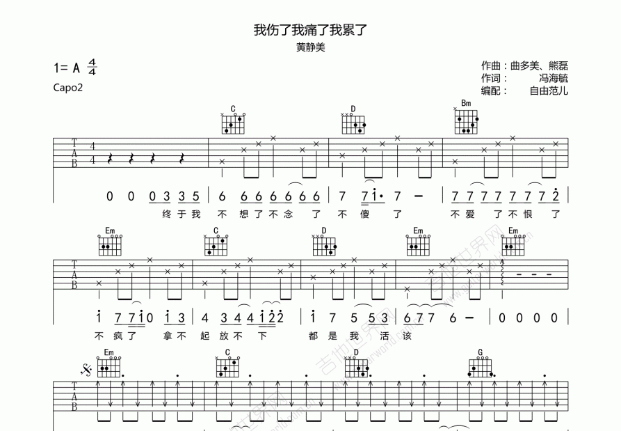 我伤了我痛了我累了吉他谱预览图