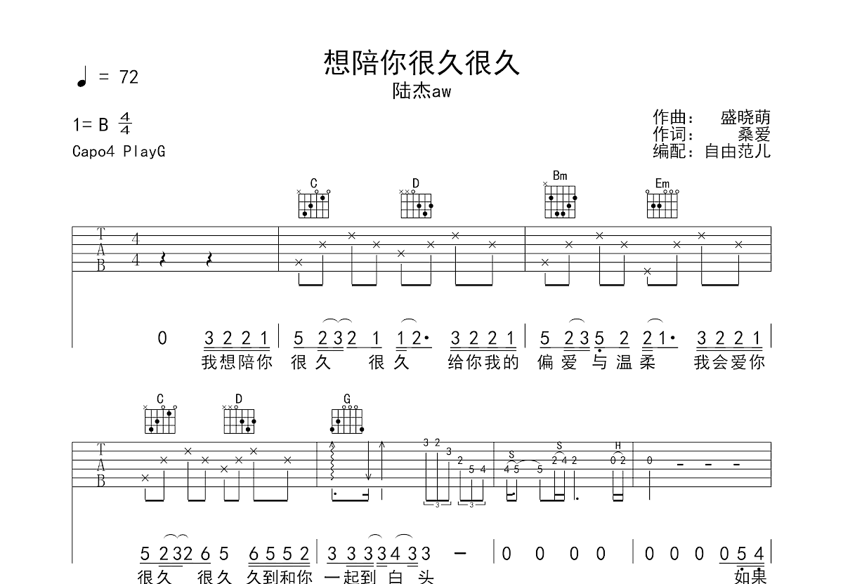 想陪你很久很久吉他谱预览图