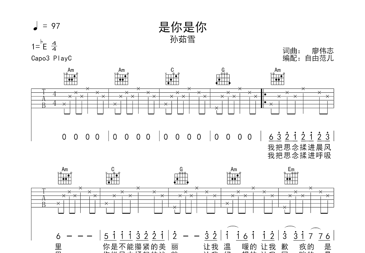 是你是你吉他谱预览图