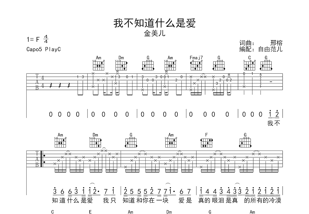 我不知道什么是爱吉他谱预览图