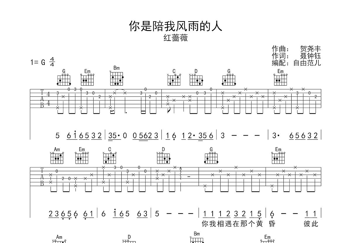 你是陪我风雨的人吉他谱预览图