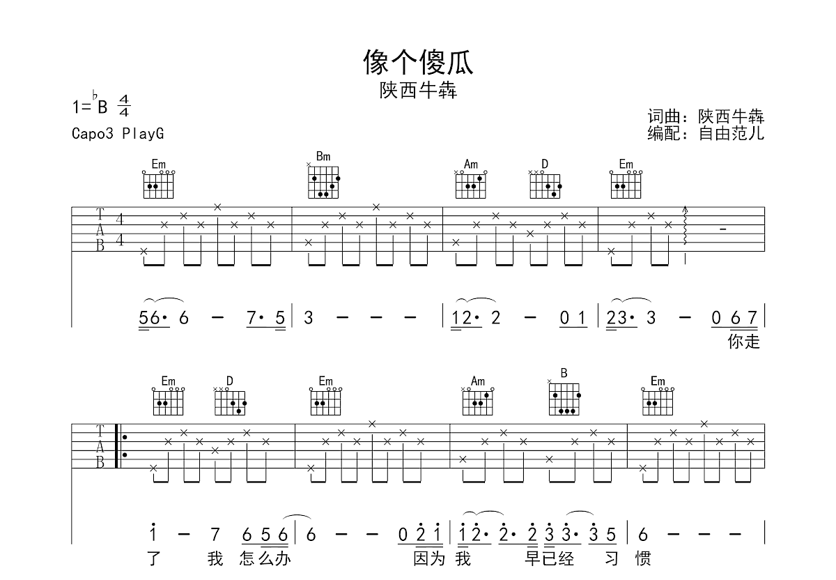 像个傻瓜吉他谱预览图