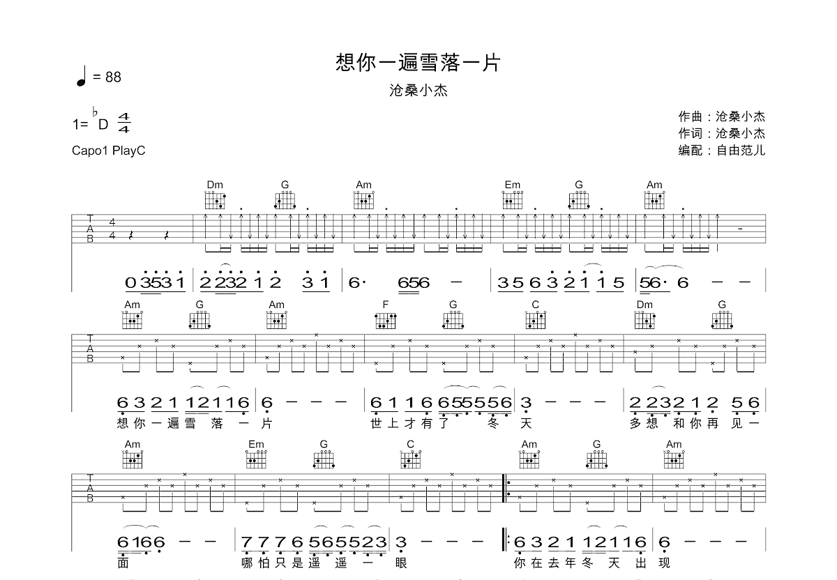 想你一遍雪落一片吉他谱预览图