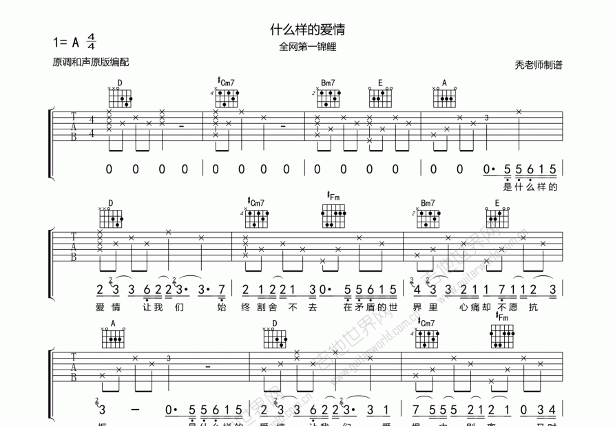 什么样的爱情吉他谱预览图