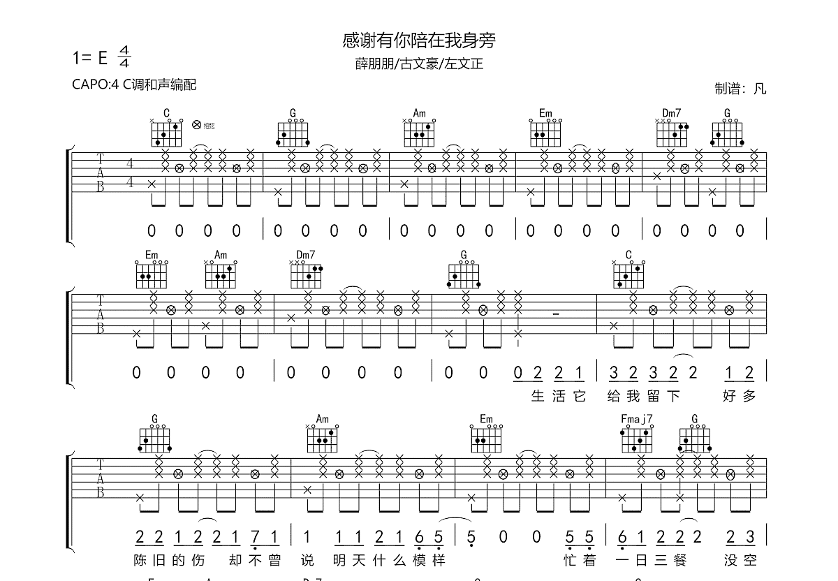 感谢有你陪在我身旁吉他谱预览图