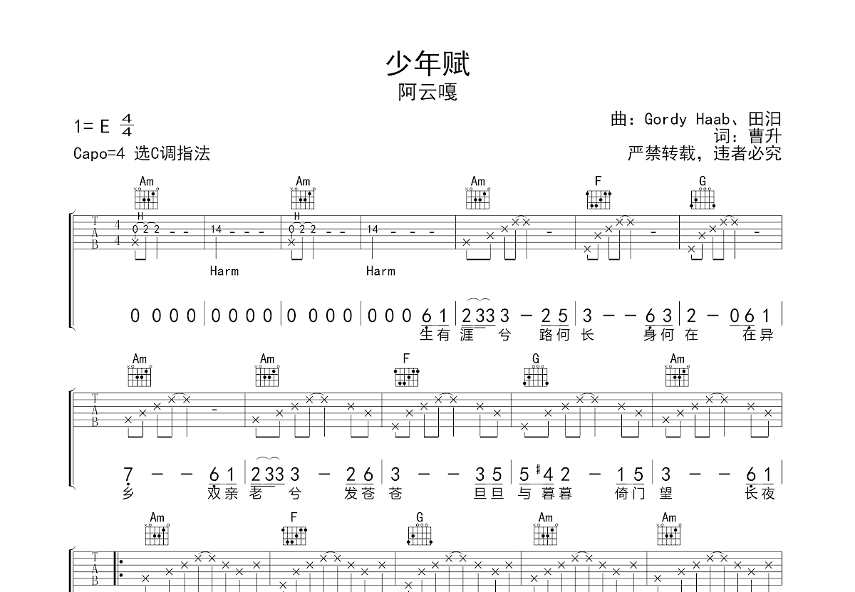 少年赋吉他谱预览图