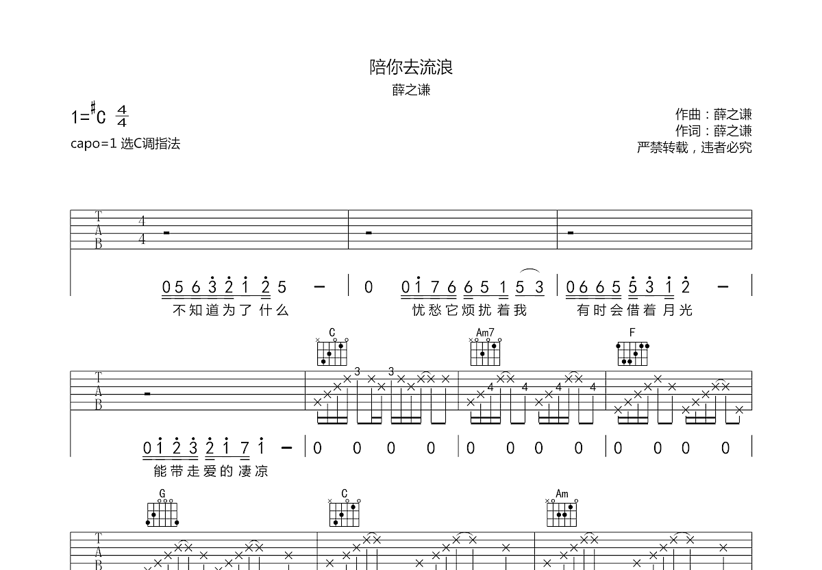 陪你去流浪吉他谱预览图