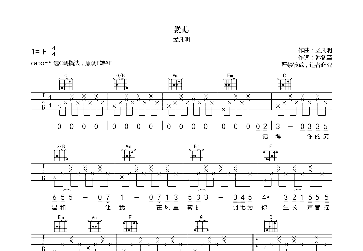 鹦鹉吉他谱预览图