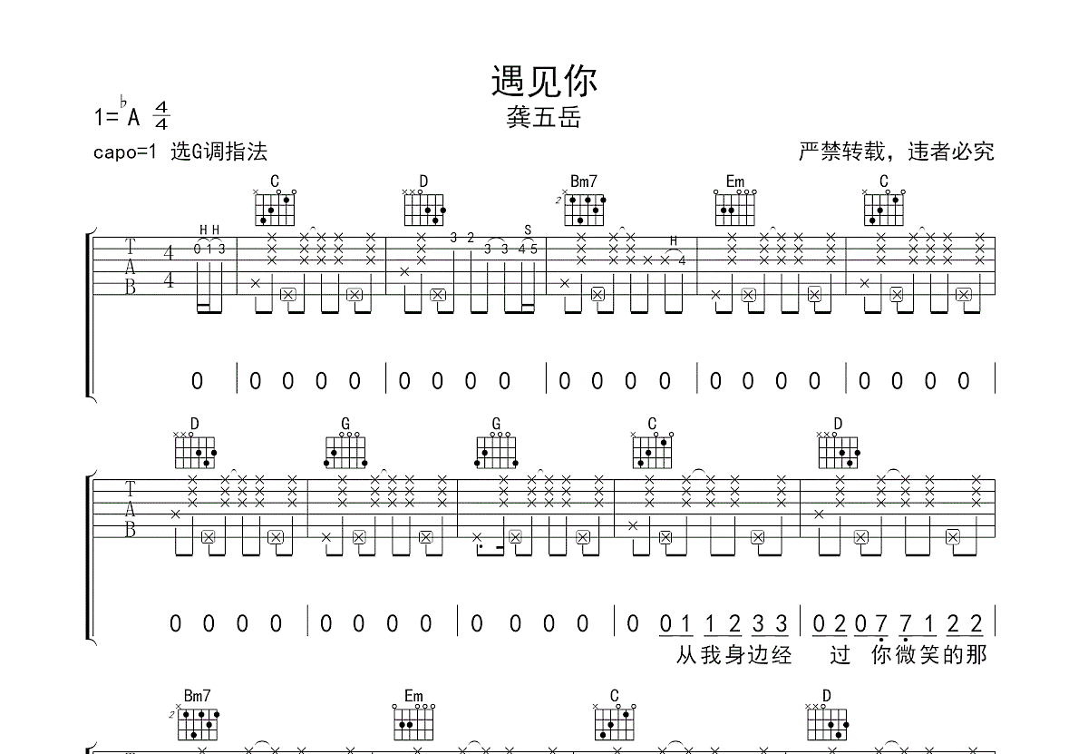 遇见你吉他谱预览图