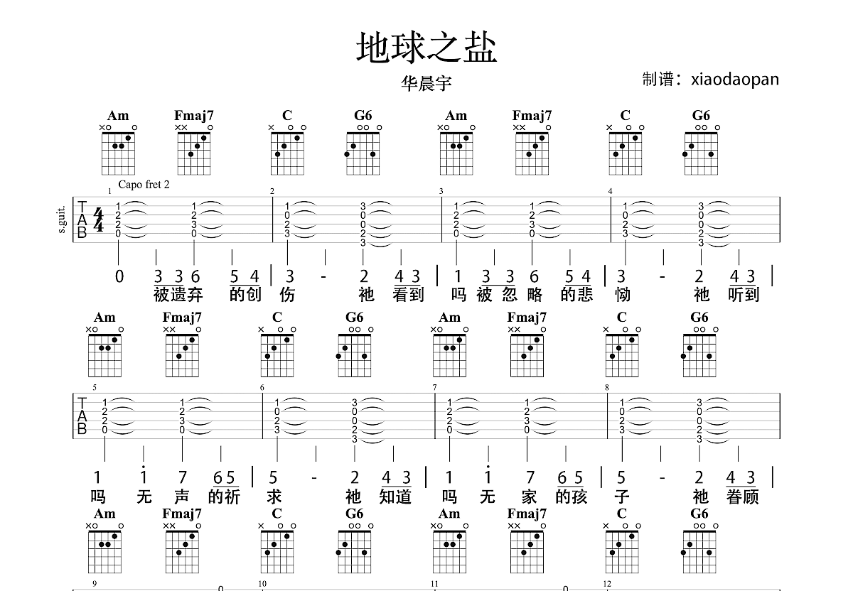 地球之盐吉他谱预览图