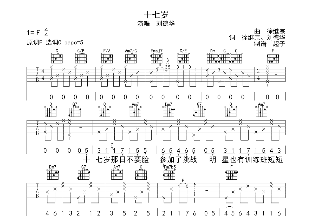 十七岁吉他谱预览图