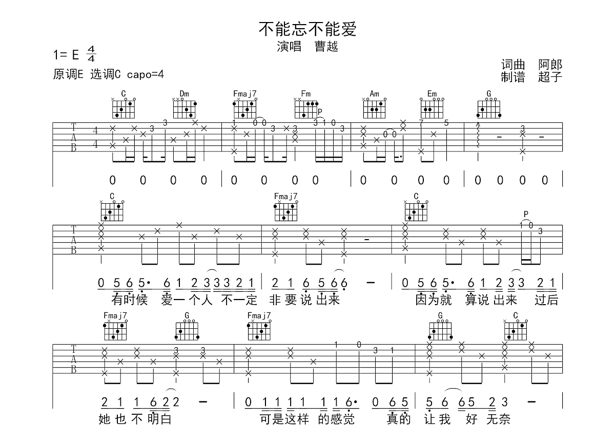 不能忘不能爱吉他谱预览图