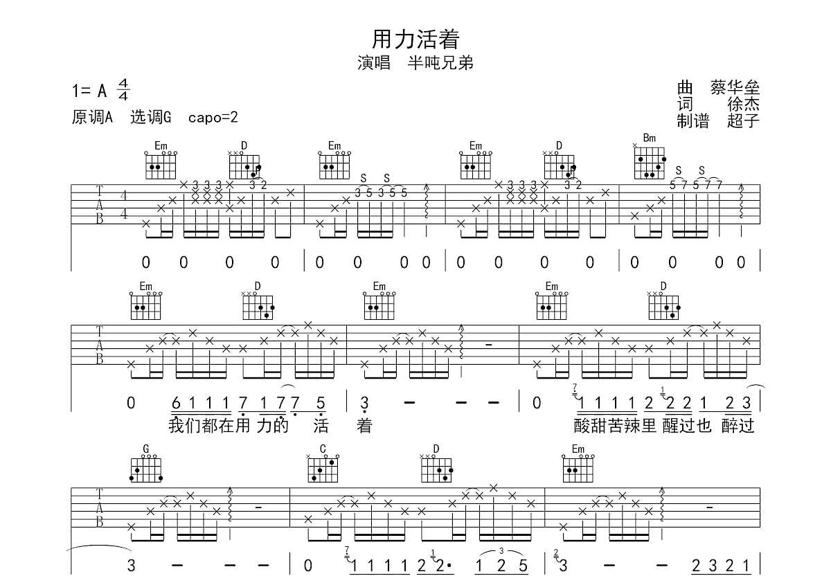 用力活着吉他谱预览图