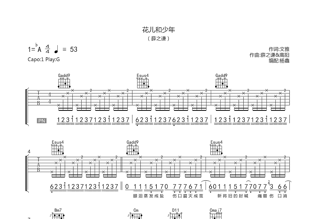 花儿和少年吉他谱预览图