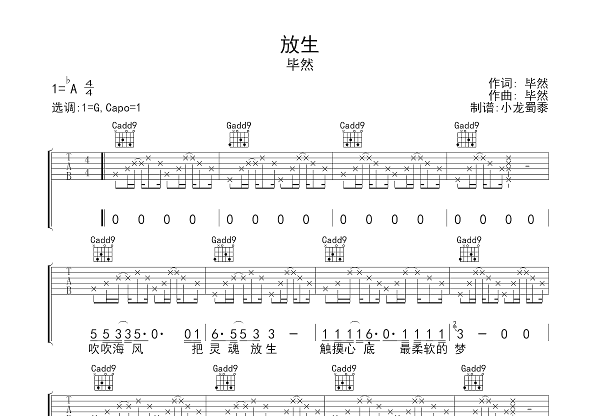放生吉他谱预览图