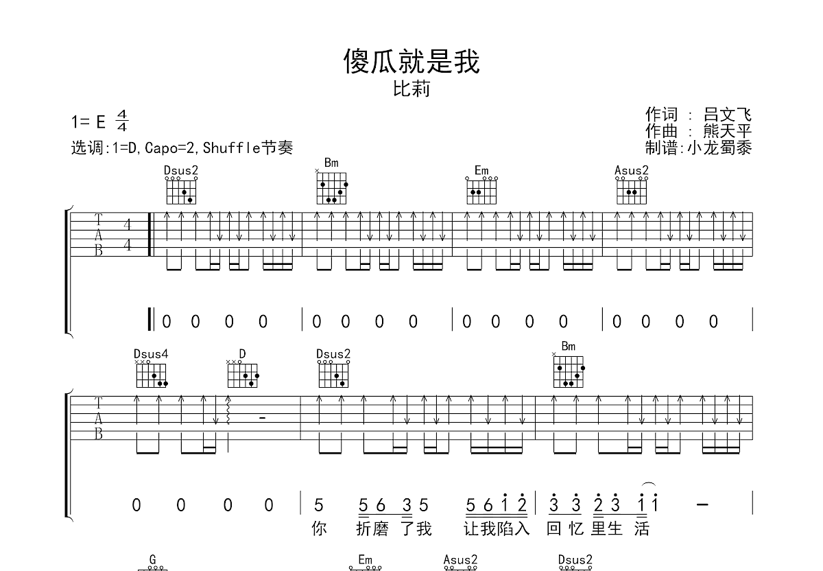 傻瓜就是我吉他谱预览图