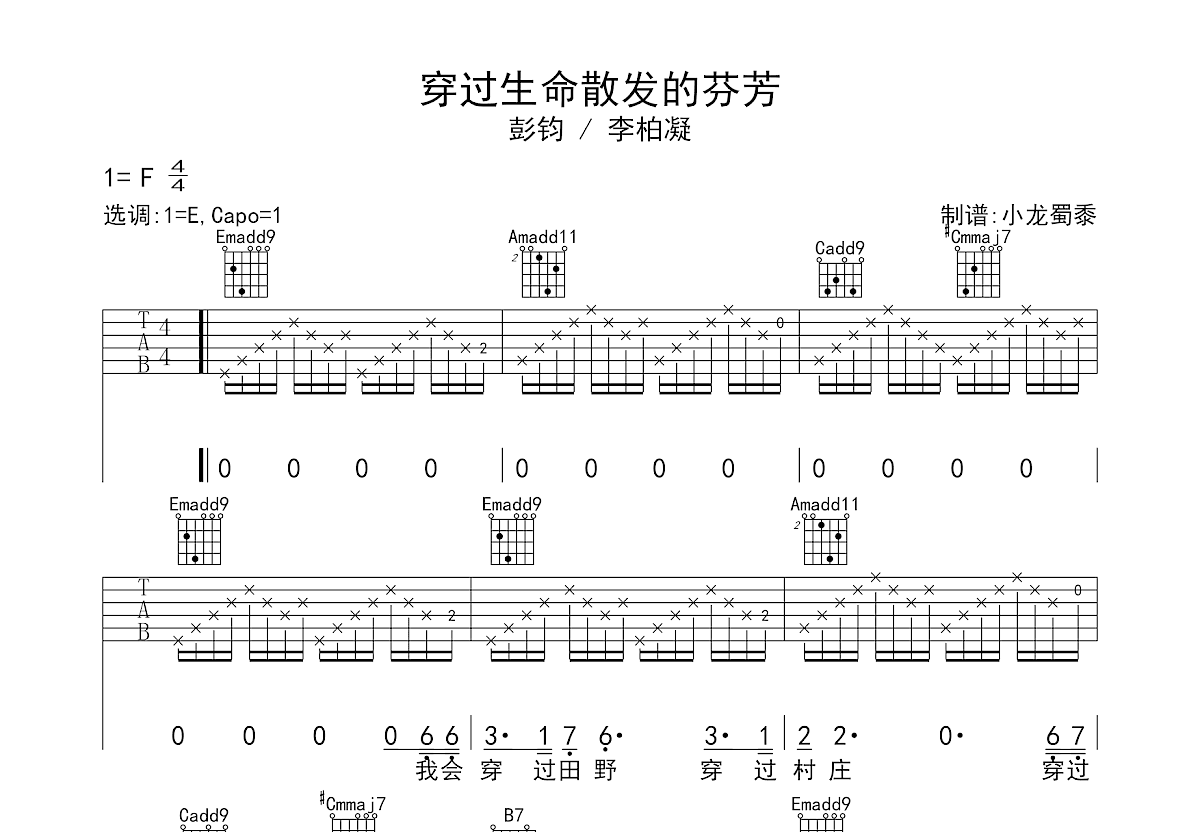 穿过生命散发的芬芳吉他谱预览图