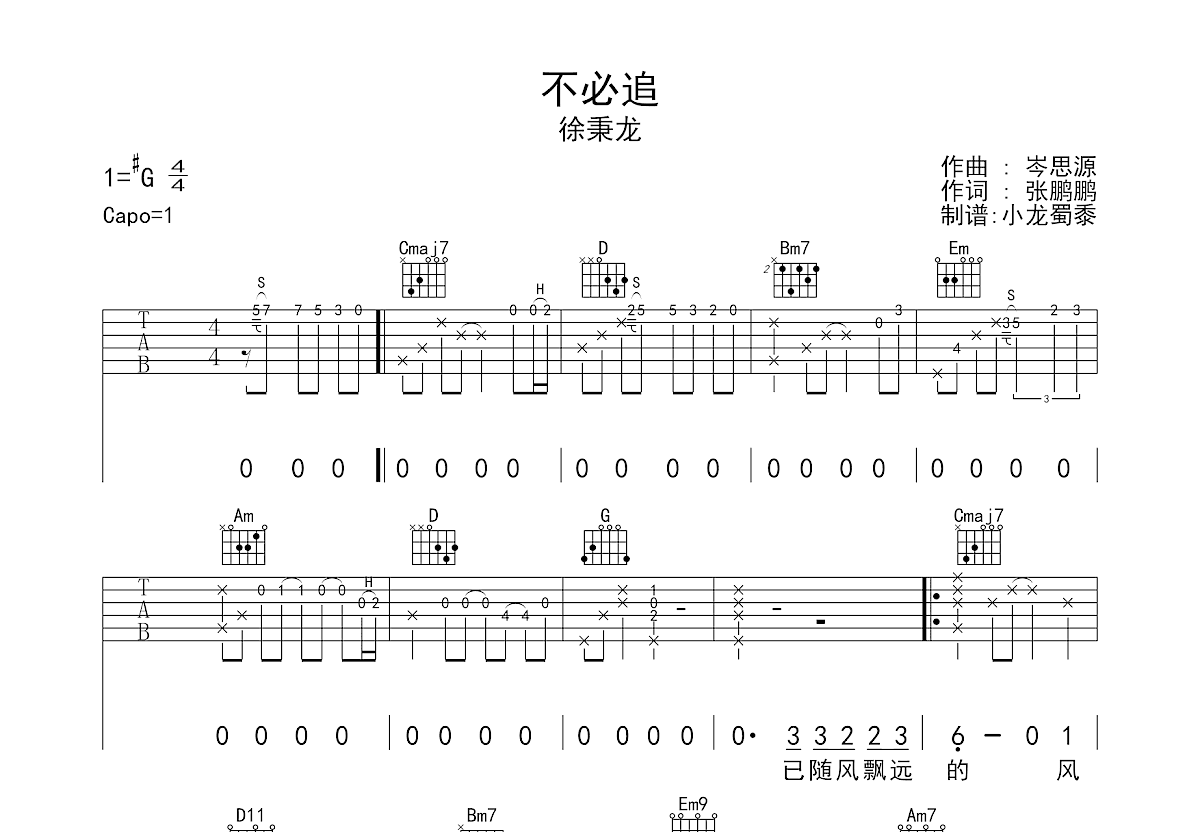 不必追吉他谱预览图