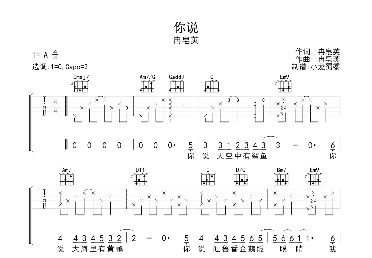 你说吉他谱预览图