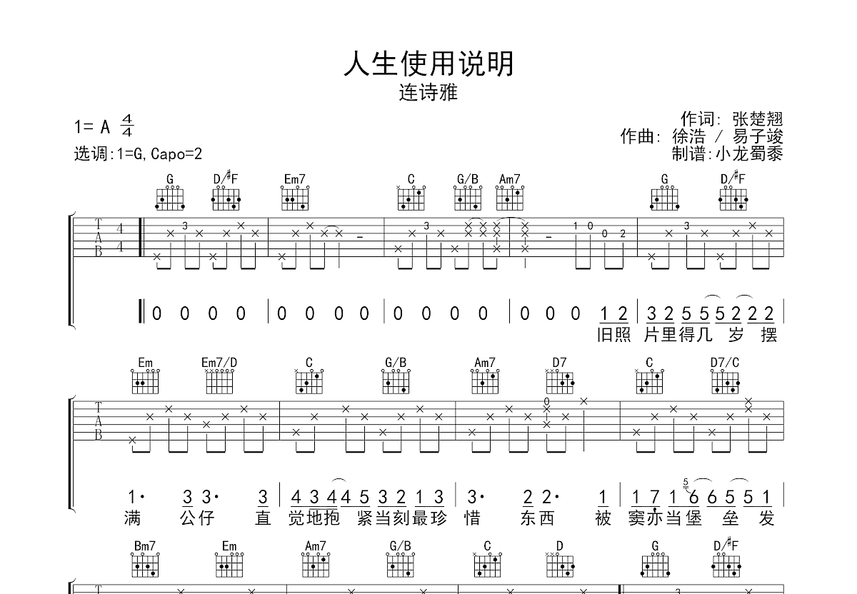 人生使用说明吉他谱预览图