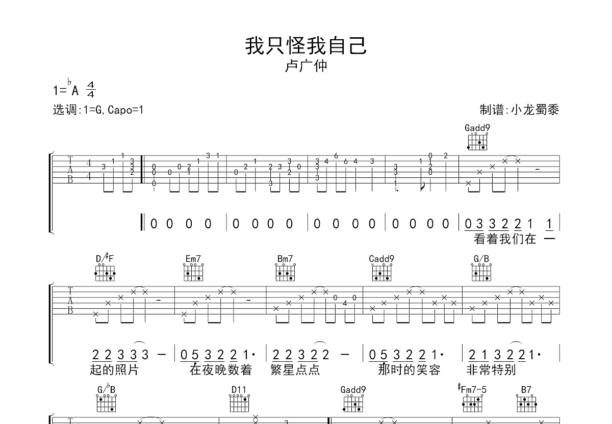 我只怪我自己吉他谱预览图