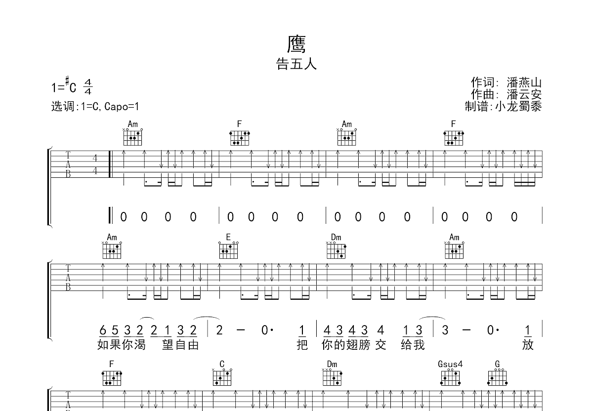 鹰吉他谱预览图