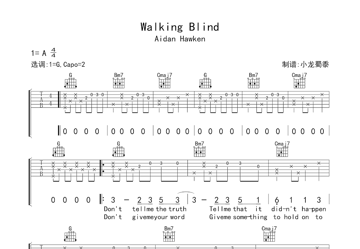 Walking Blind吉他谱_Aidan Hawken_G调弹唱