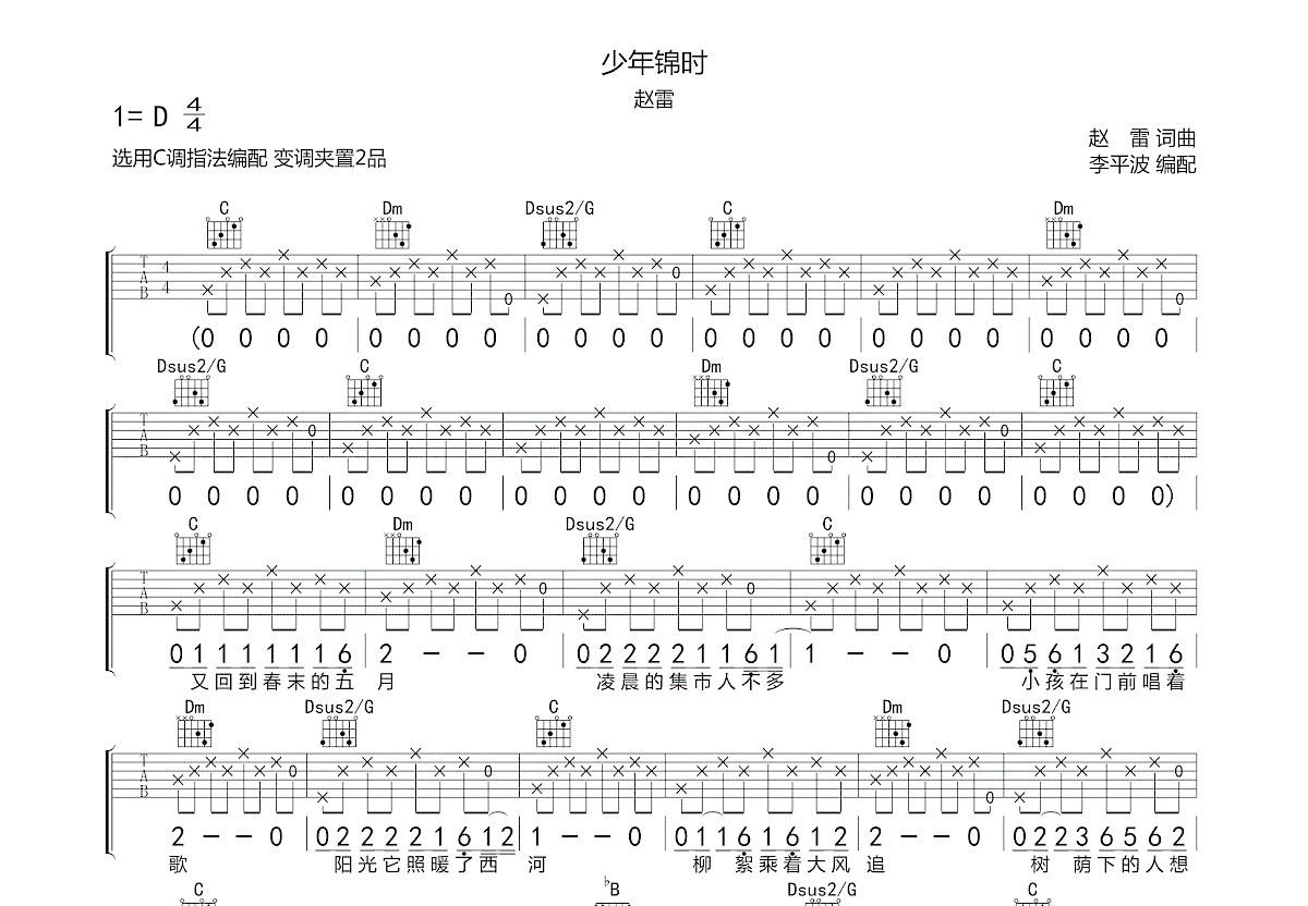 少年锦时吉他谱预览图