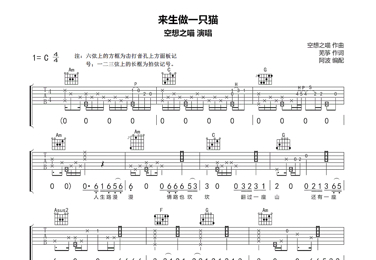 来生做一只猫吉他谱预览图