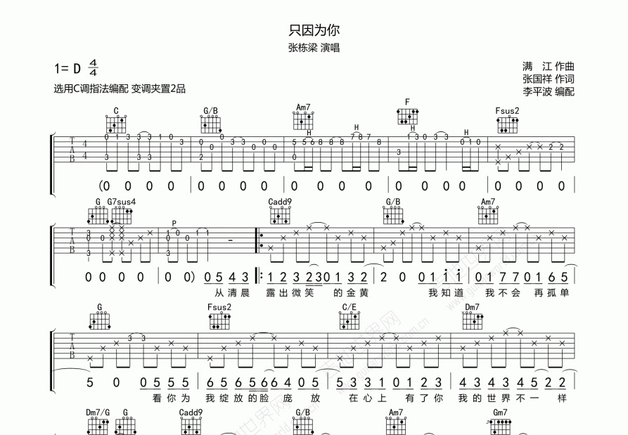 只因为你吉他谱预览图