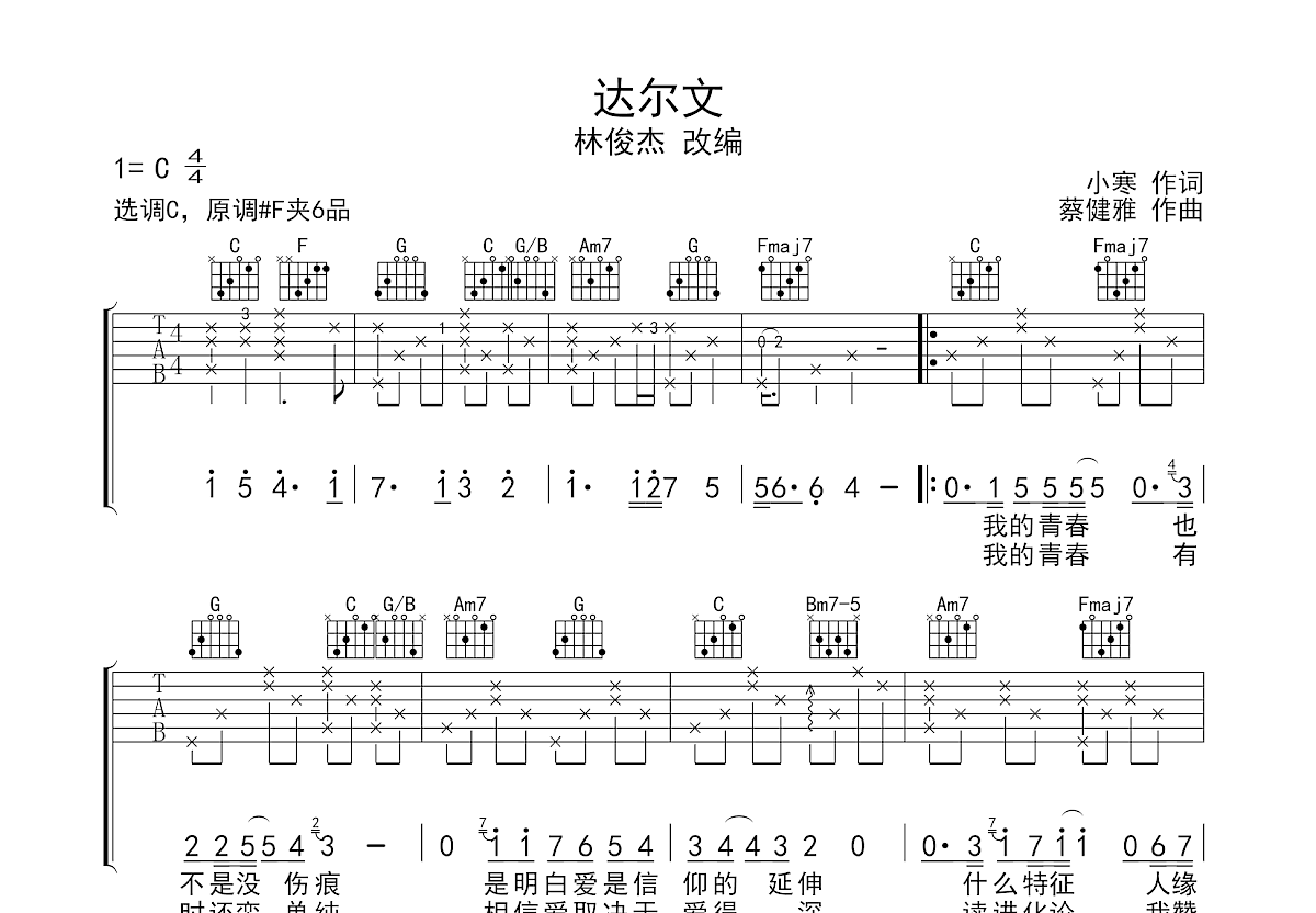 达尔文吉他谱预览图